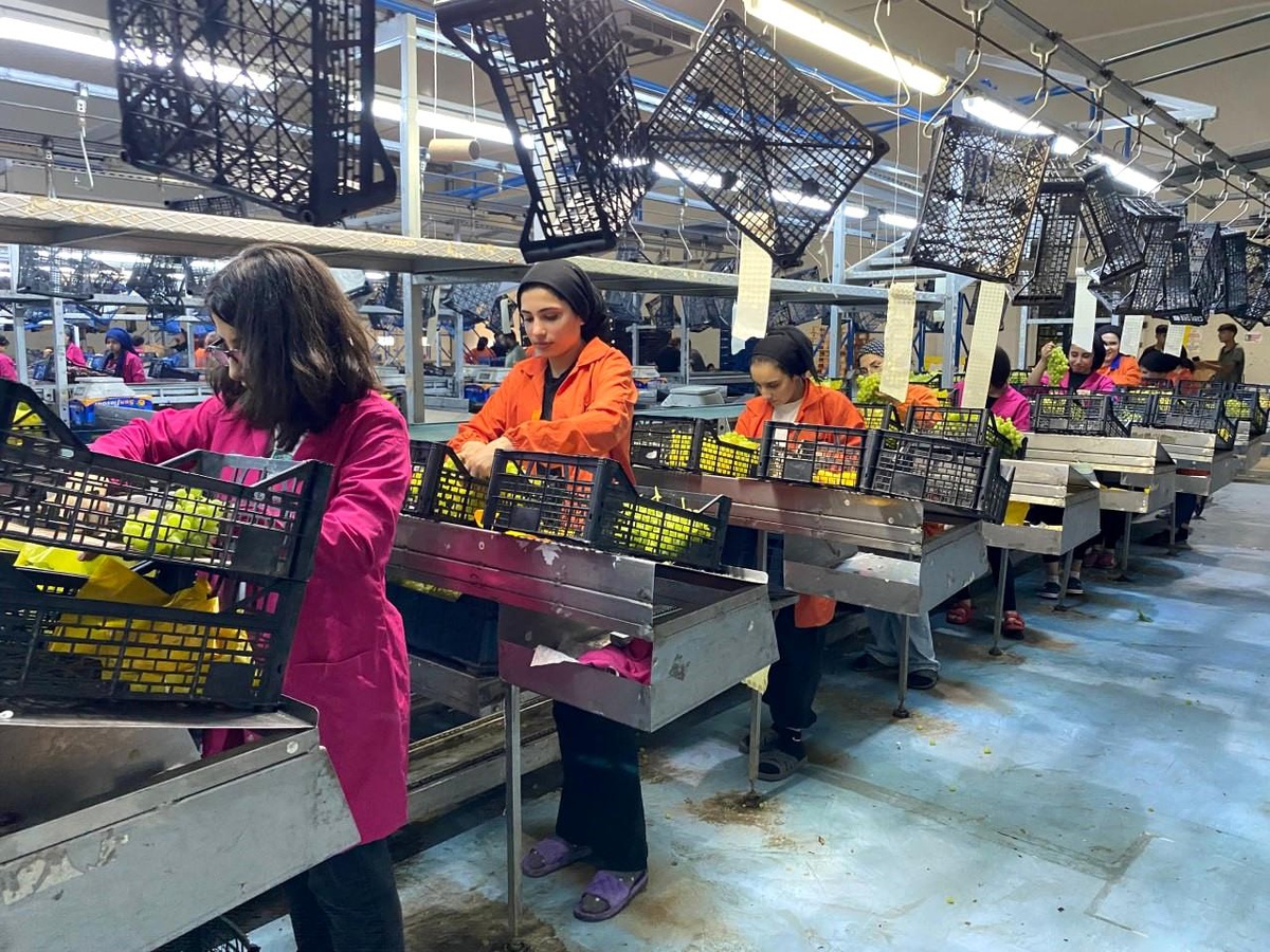 Alaşehir\'den 187 Bin Ton Tarımsal İhracat