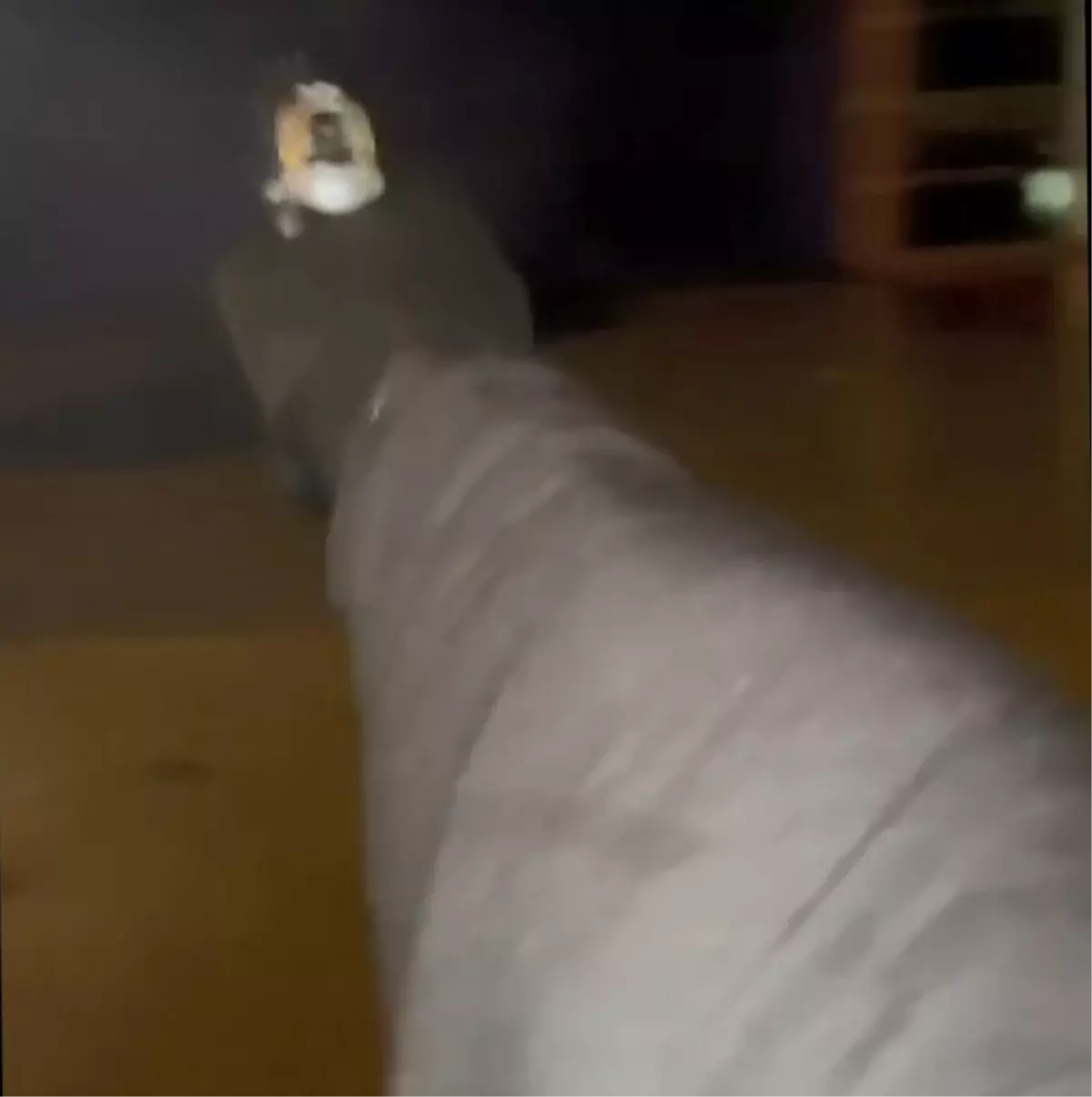 Otomobil Cam Filmi Satan İşyeri Kurşunlandı: \'Daltonlar\' Suç Örgütü Üyesi Şüpheliler Yakalandı