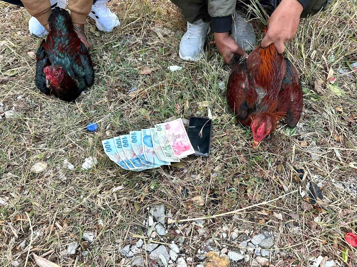 Hatay\'da Horoz Dövüşüne Baskın