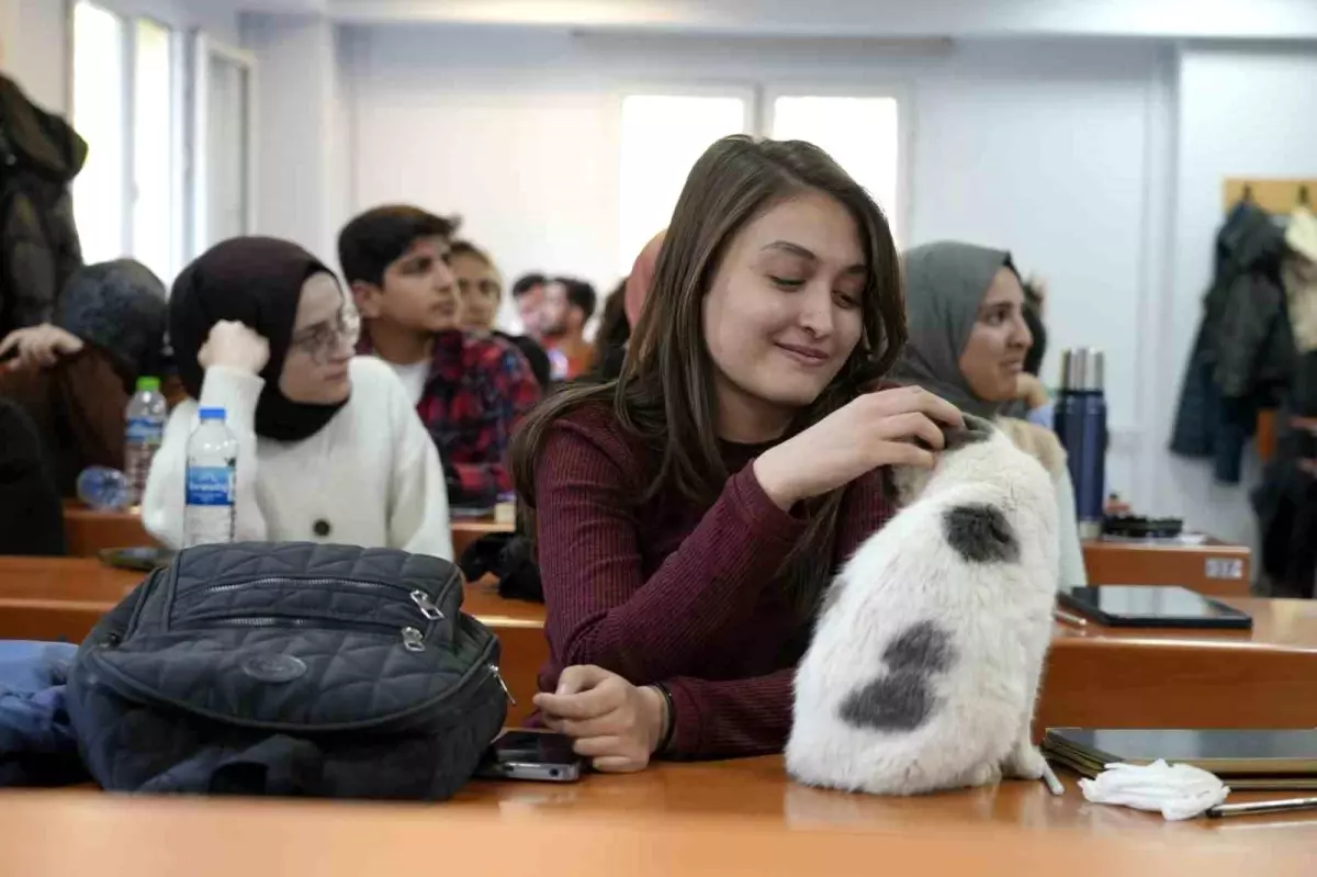 Labne: Üniversitenin Sevimli Kedisi