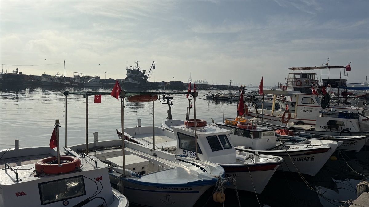 Tekirdağ\'da Denizde Ulaşım Normale Döndü