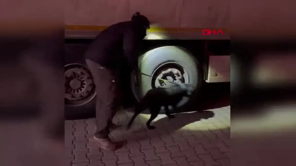 Uyuşturucu Sevkiyatı Şüphesiyle Durdurulan TIR\'nin Sürücüsü Tutuklandı