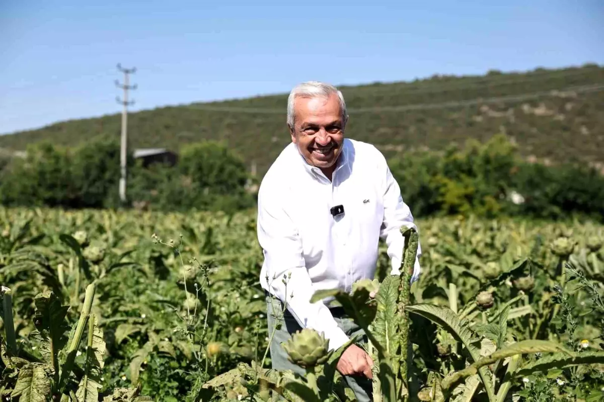 Tarım Nilüfer\'de yeniden canlanıyor... Başkan Özdemir\'den çiftçiye kooperatif desteği