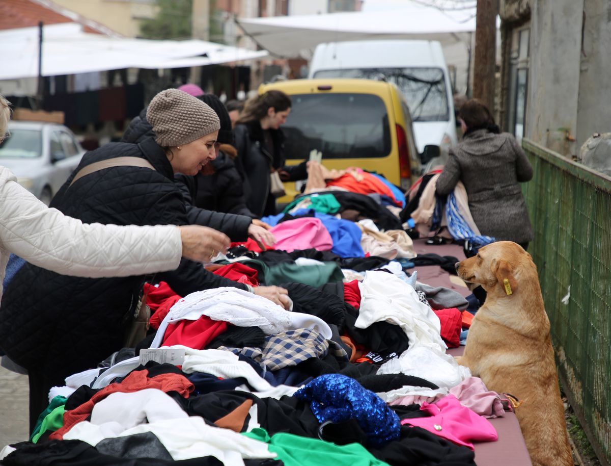 Edirne\'de Sokak Hayvanları için Bağışlanan Giysiler Satılıyor