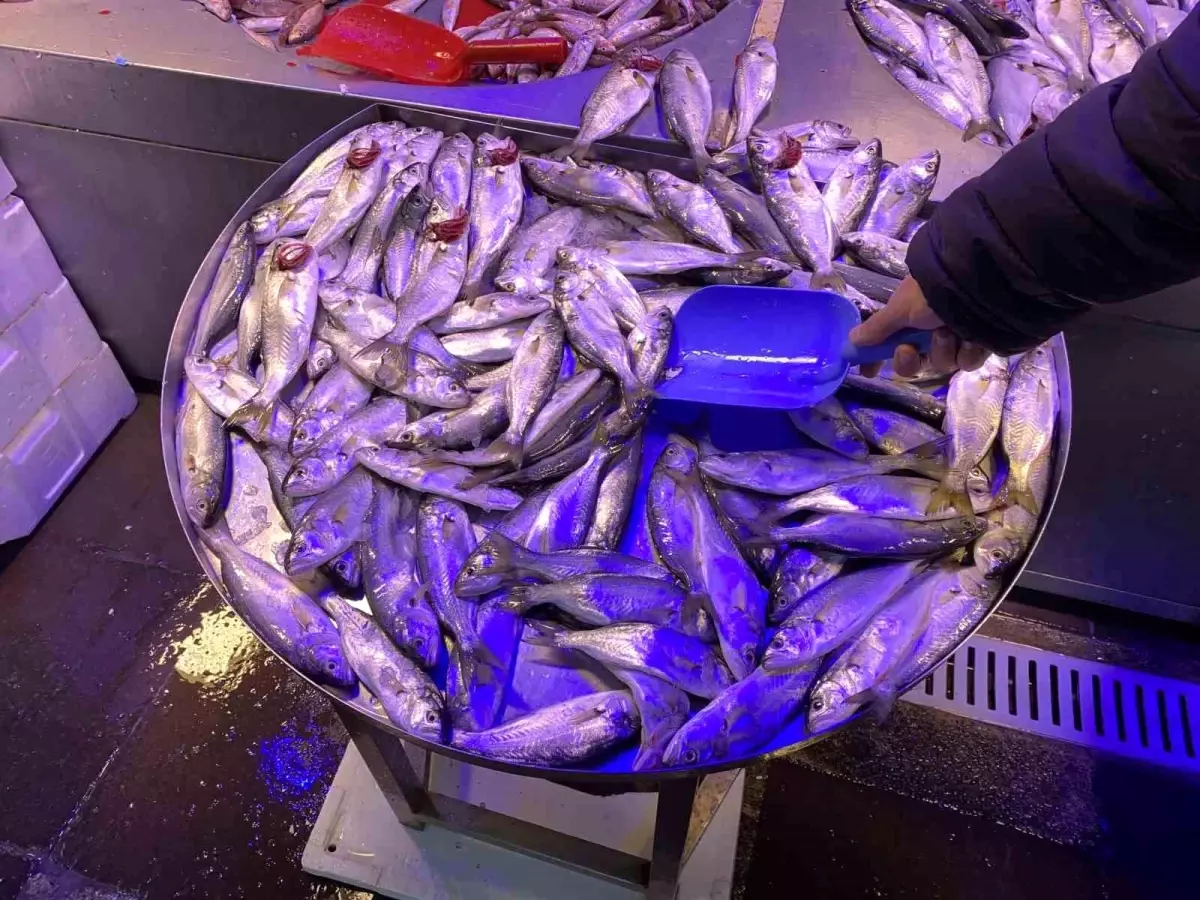 Eskişehir\'de Çinekop Fiyatları Düşüyor