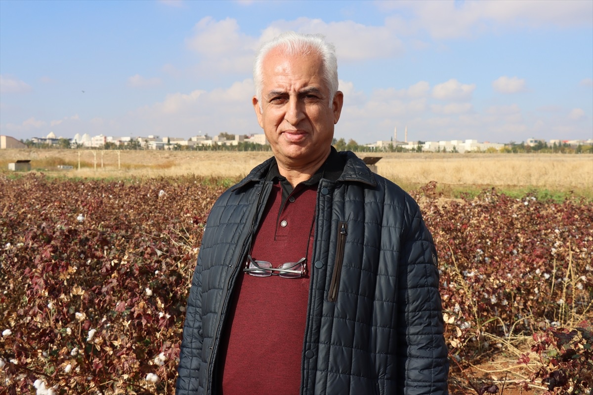 Şanlıurfa\'da Yenileyici Tarım Uygulamaları Gelişiyor