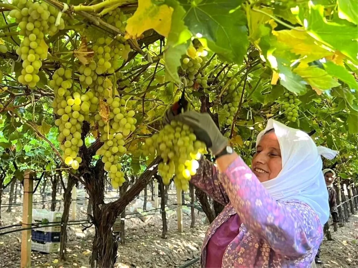 Kadın İşçilere Yevmiye Zammı