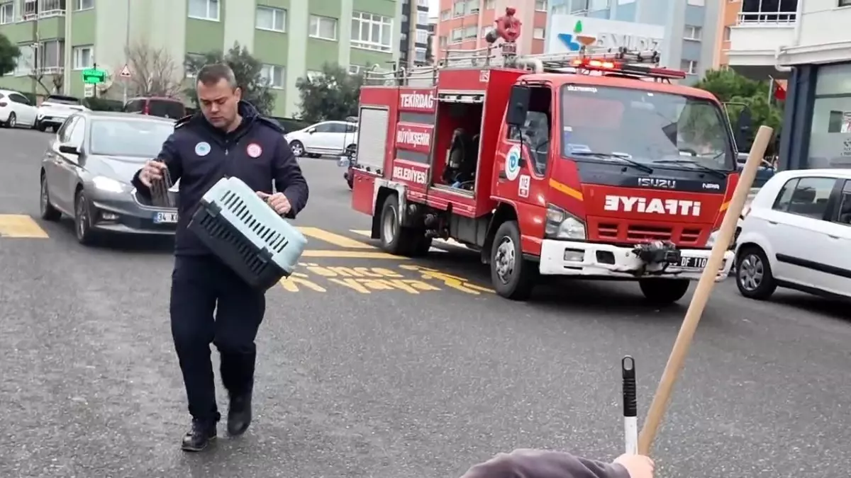 Tekirdağ\'da Araç Motoruna Sıkışan Kedi İtfaiye Ekipleri Tarafından Kurtarıldı