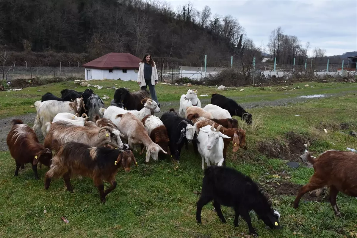 Gizem Çimen\'den Aile Çiftliği Kurulumu