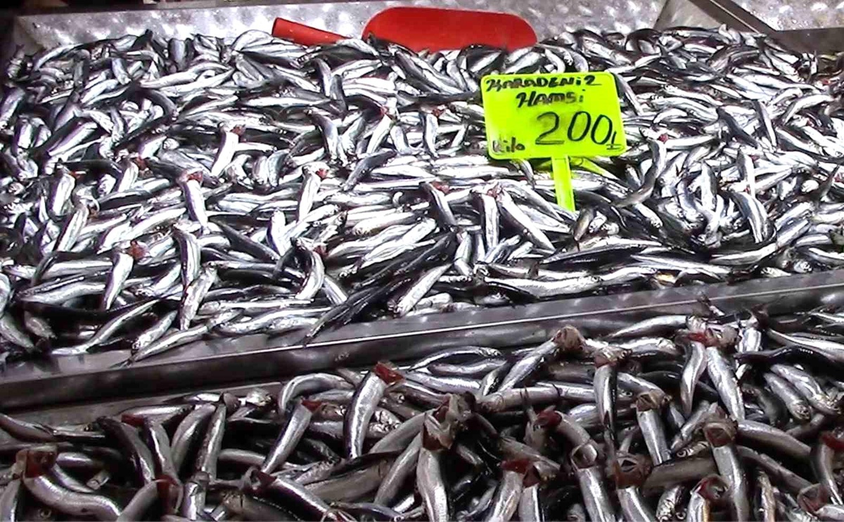 Hamsi Fiyatları Düşüşte