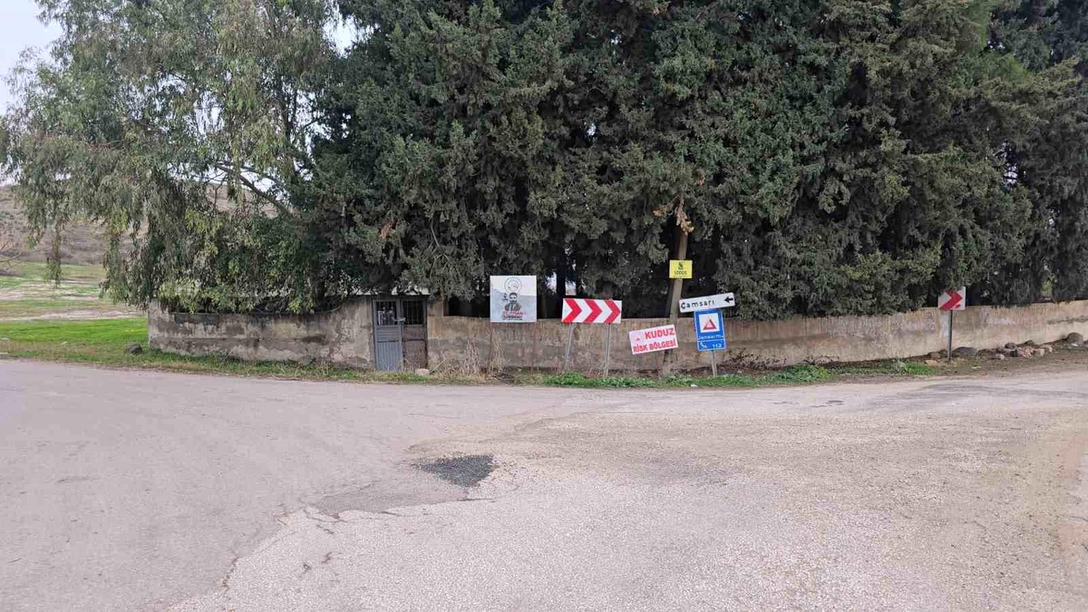 Hatay\'da Kuduz Köpek Krizi