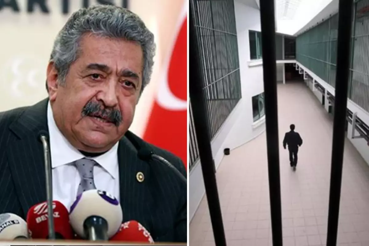 MHP Genel Başkan Yardımcısı Feti Yıldız\'dan çok konuşulacak \'af\' açıklaması