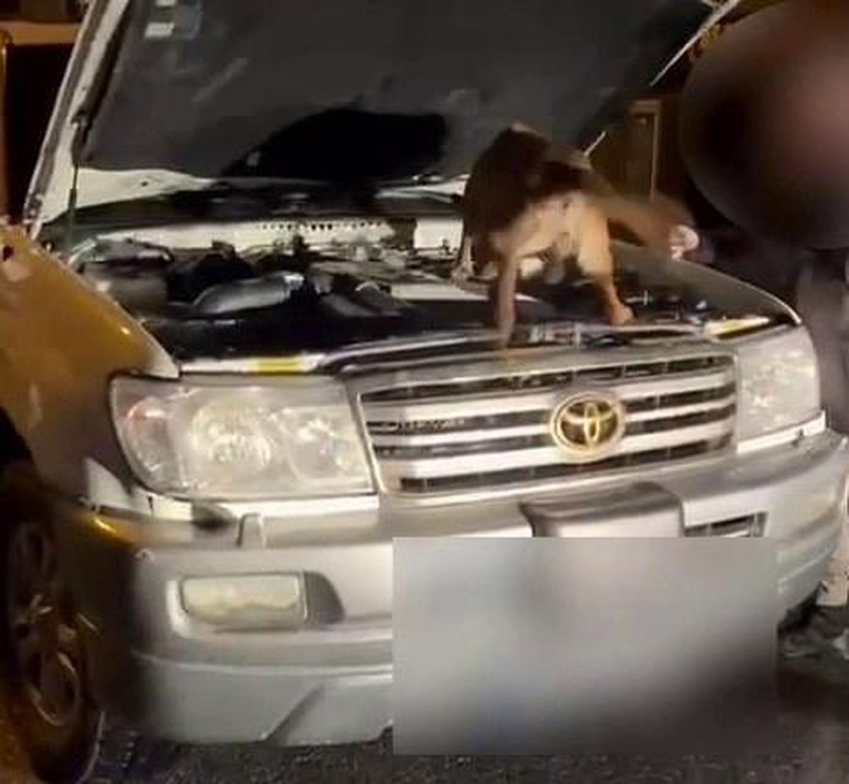 Sakarya\'da SUV\'da 76 Litre Metamfetamin Ele Geçirildi