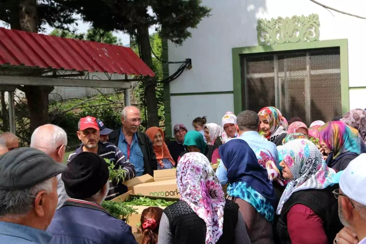 Atakum Belediye Başkanı Türkel\'den Çiftçilere Destek