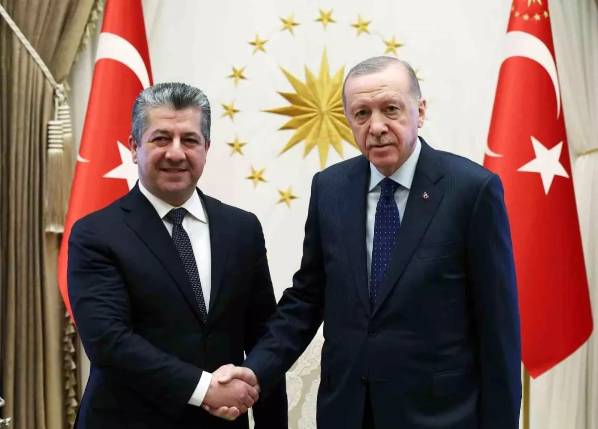 Cumhurbaşkanı Erdoğan, IKBY Başbakanı Mesrur Barzani\'yi kabul etti