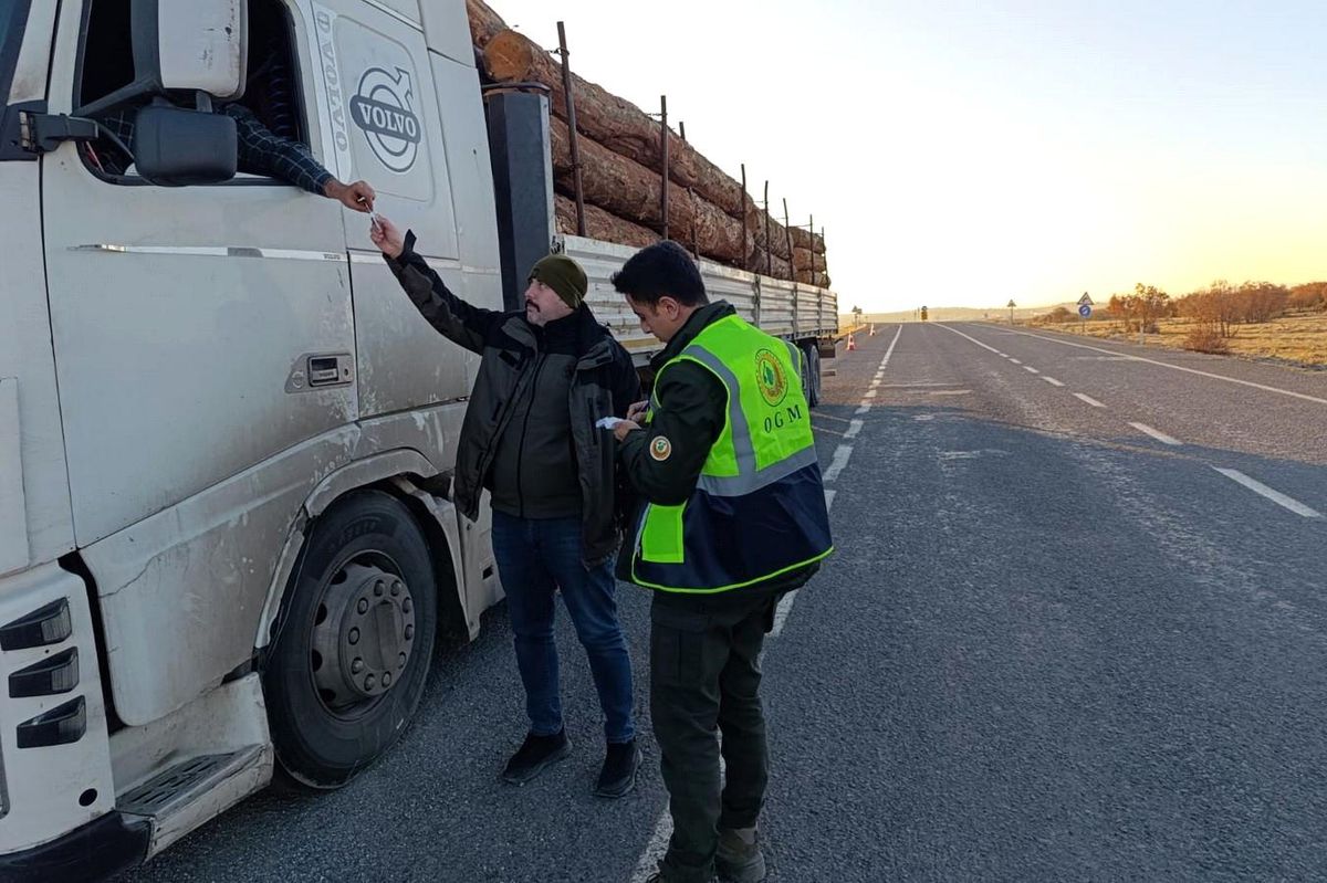 Orman Denetimleri Artıyor
