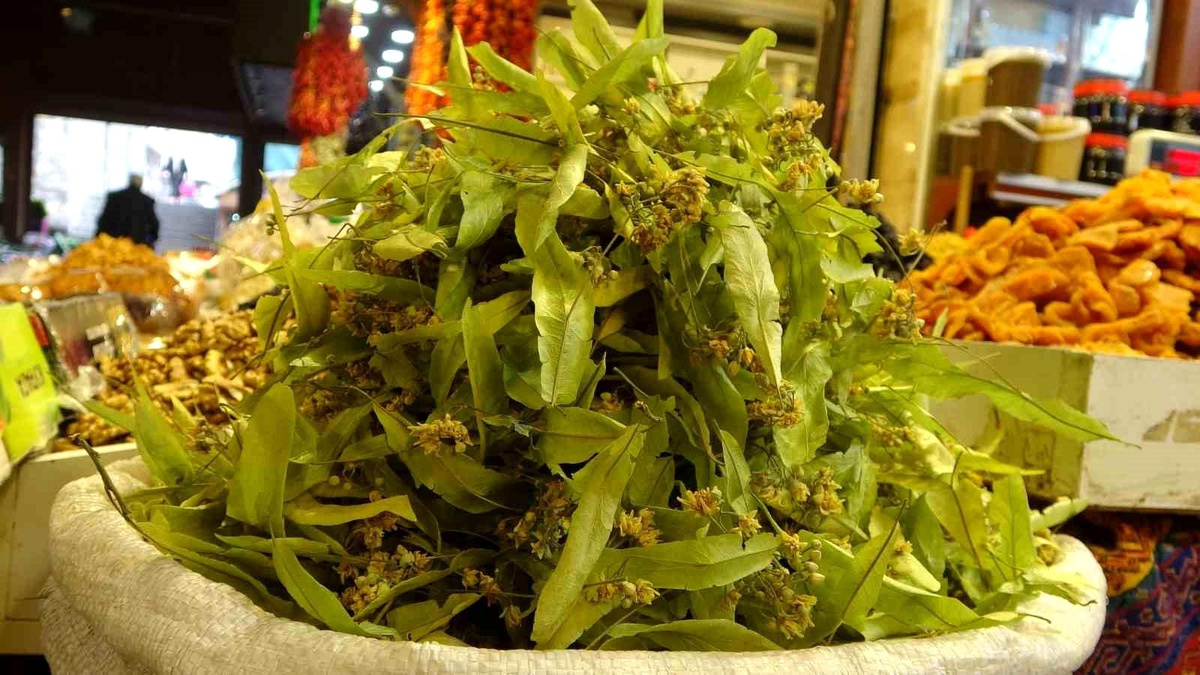 Elazığ\'da Kış Çayı Tercihi: Ihlamur