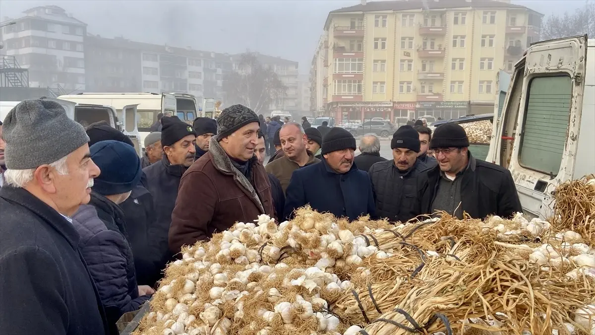 Taşköprü Sarımsağı Pazarı Soğuk Havaya Rağmen Devam Ediyor