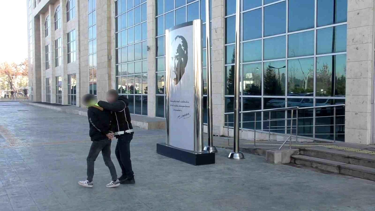 Uşak\'ta Bonzai Ele Geçirildi