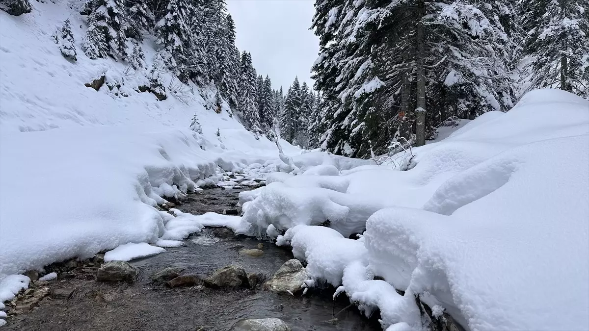 Ilgaz Dağı\'nda Kış Keyfi