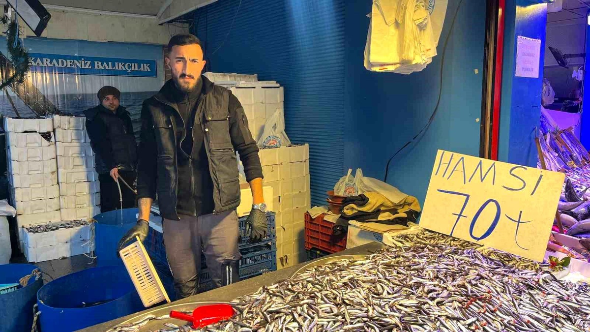 Eskişehir\'de Hamsi Fiyatları 70 Liraya Düştü