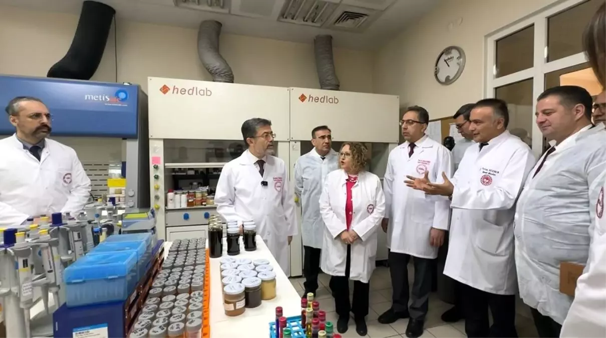 Pestisit Denetimleriyle Kalıntı Oranı Azaldı