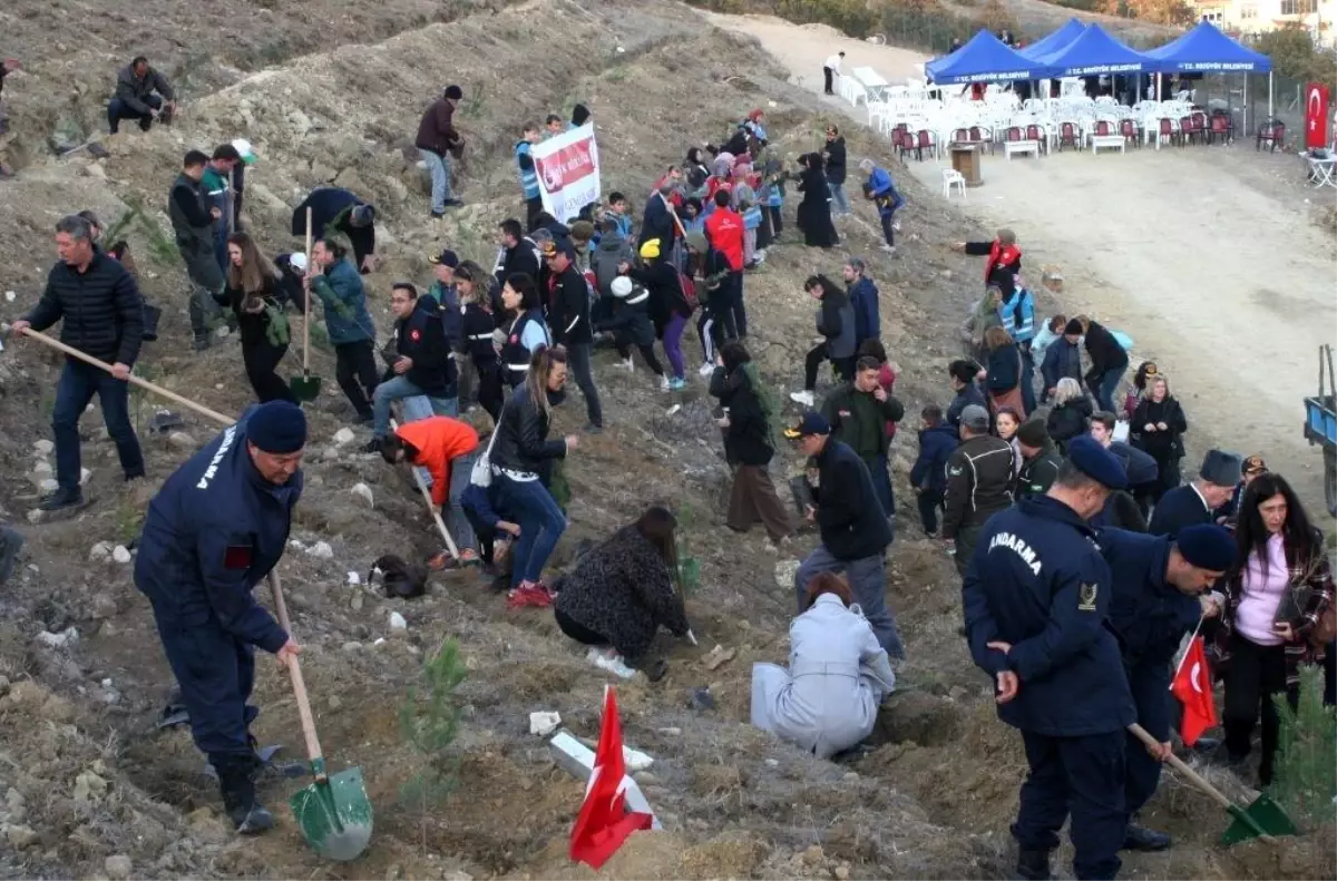 Bilecik\'te 473 Bin Fidan Toprakla Buluştu