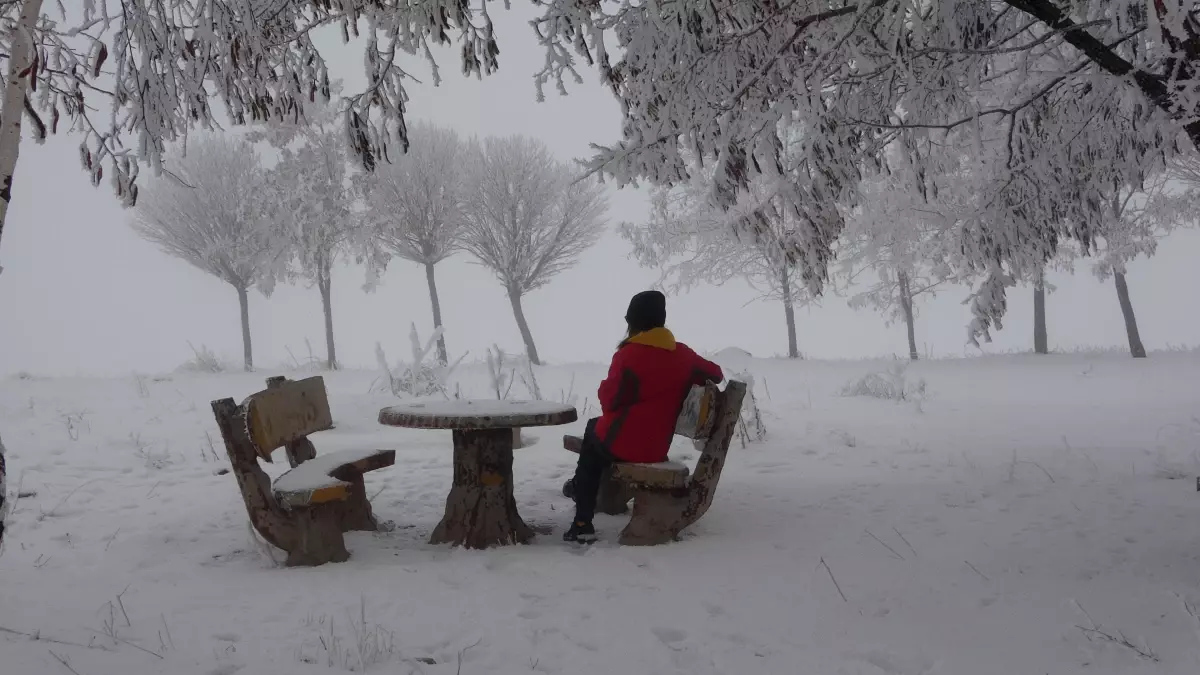 Bitlis\'te Sis ve Soğuk Hava Etkili Oluyor