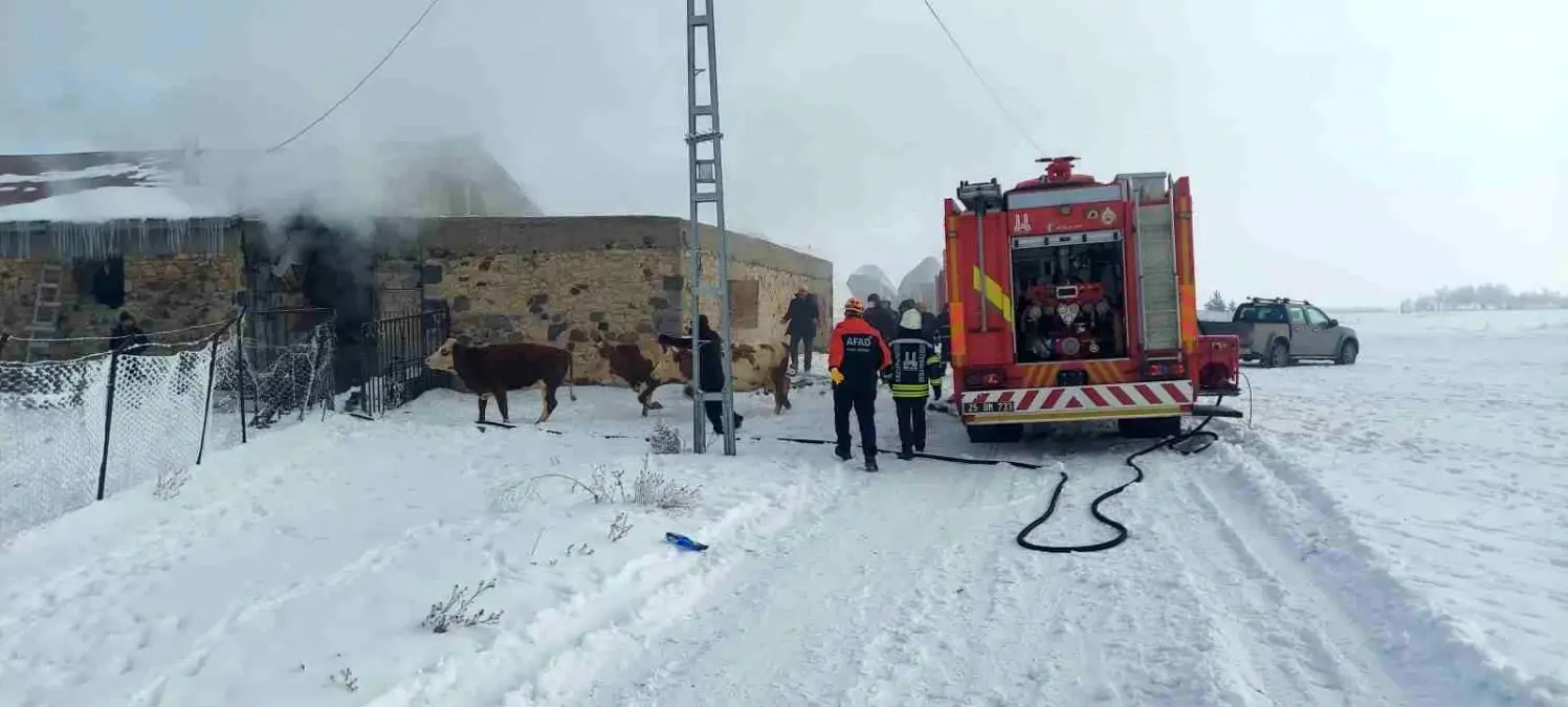 Erzurum\'da Ahır Yangını Korkuttu