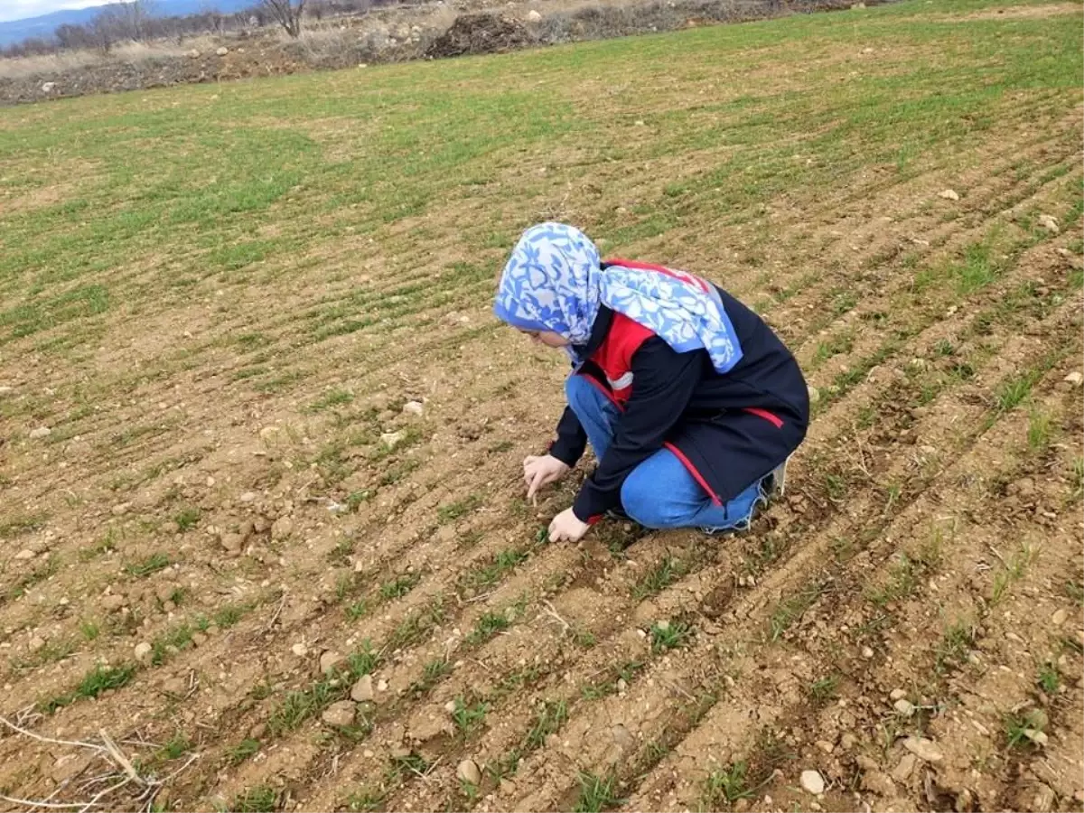 Afyon\'da Tarım Kontrolleri Devam Ediyor