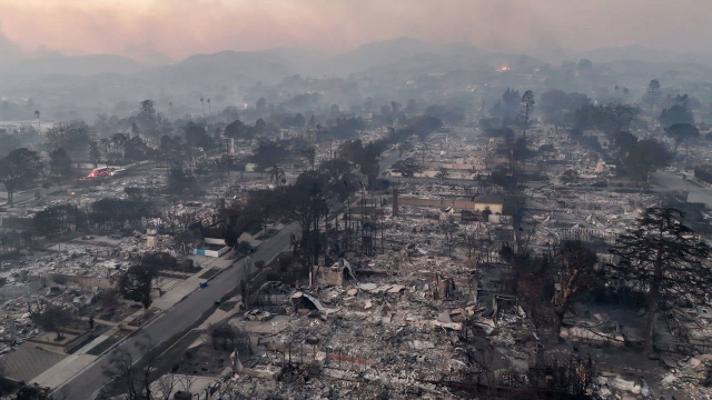 İtfaiye ekibi Los Angeles'ta alevlere poşetle müdahale etti