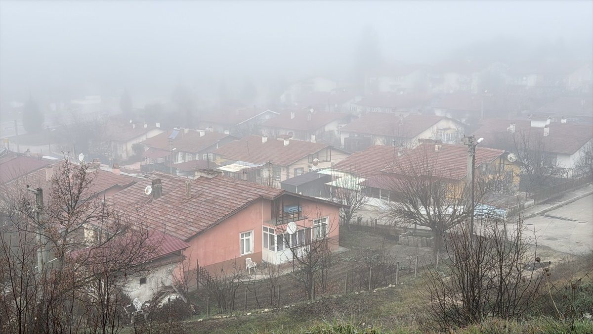 Karabük\'te Sis Etkili