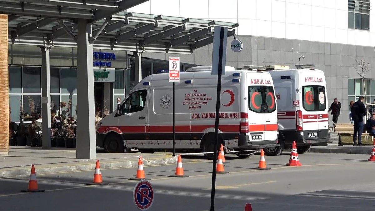 Kütahya\'da Anne ve Kızı Sahipsiz Köpeklerin Saldırısında Yaralandı