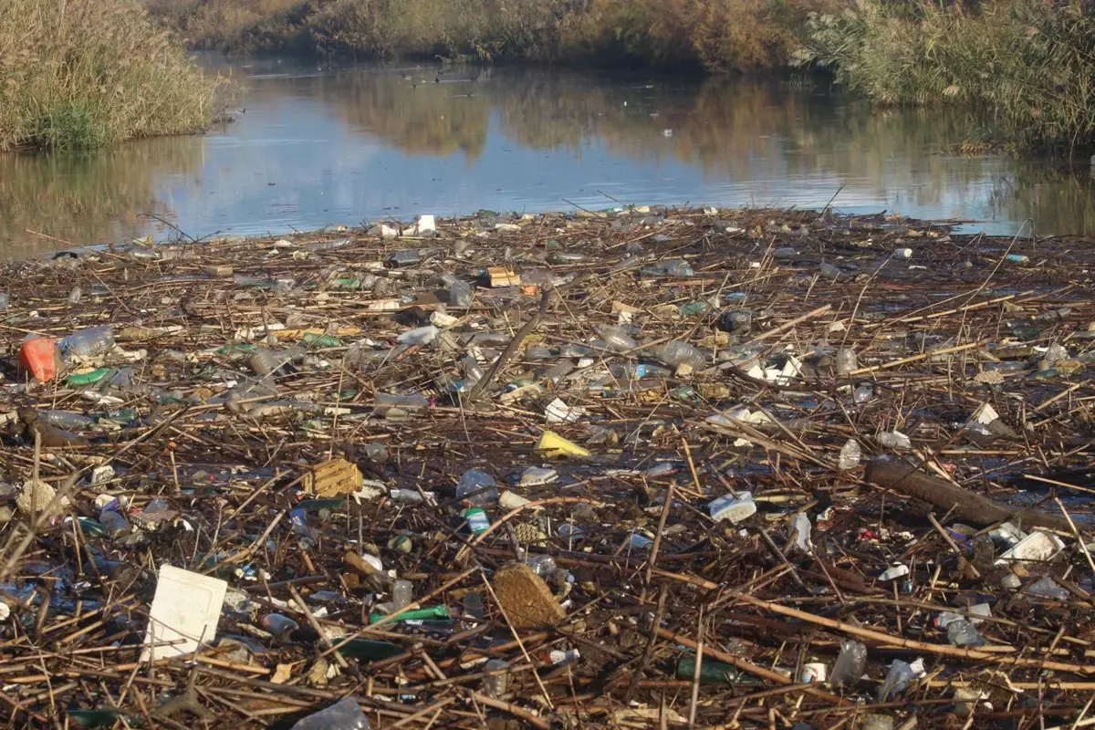 Büyük Menderes Nehri\'nde Çöp Sorunu Tarihi Taş Köprüyü Tehdit Ediyor