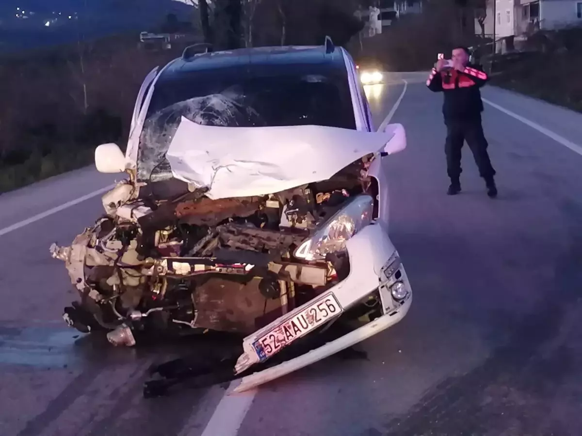 Ordu\'da Trafik Kazası: İki Ölü, Beş Yaralı