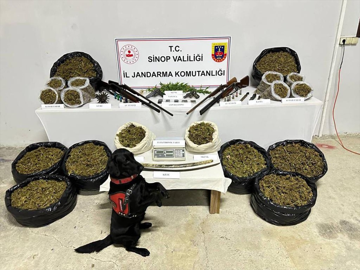 Sinop\'ta Uyuşturucu Operasyonları: 487 Gözaltı