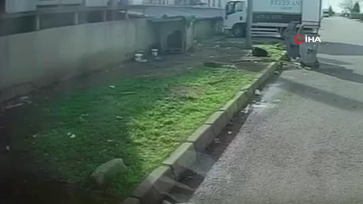 Başıboş Köpek Saldırdı