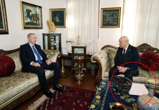 Cumhurbaşkanı Erdoğan ile Bahçeli görüşmesinde dikkat çeken 'beyaz dosya' detayı