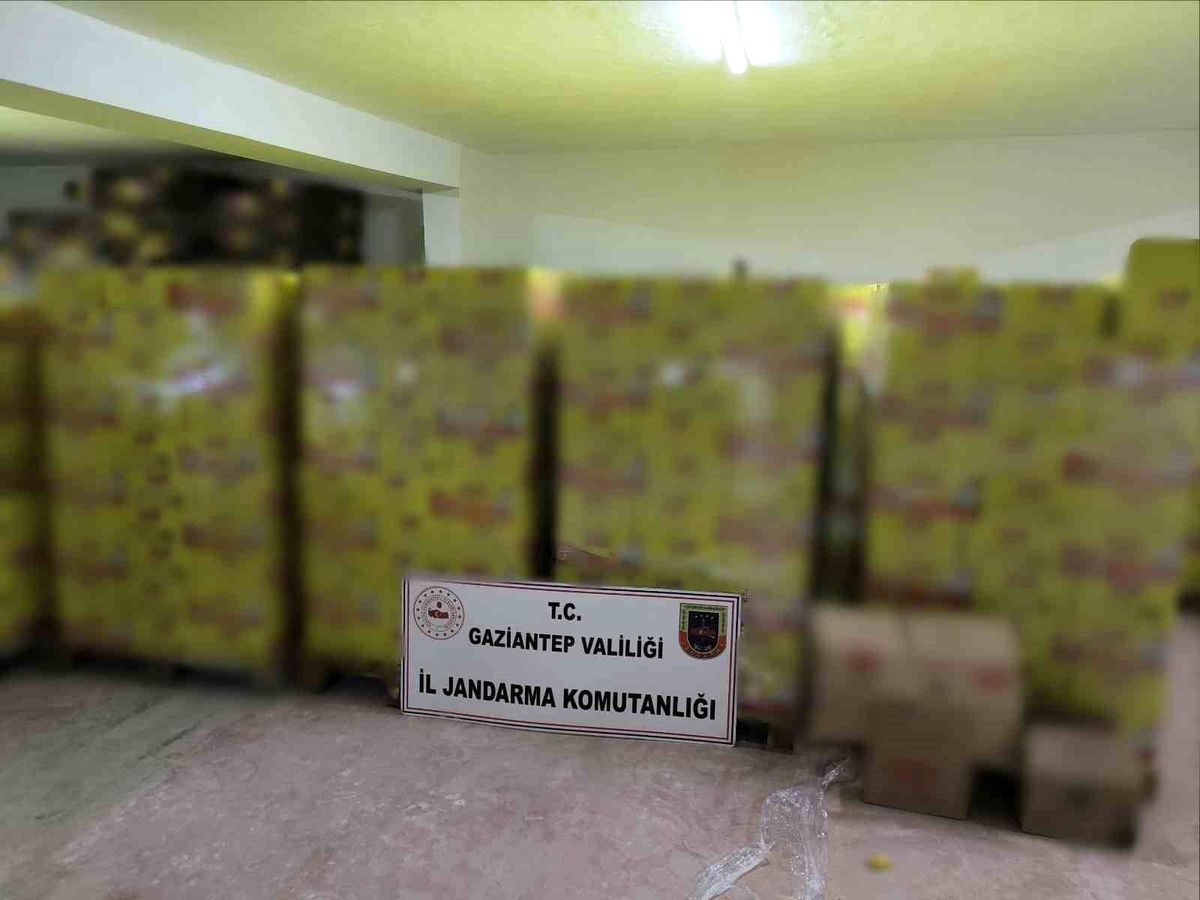 Gaziantep\'te 1,5 milyon lira değerinde sahte tavuk bulyon ele geçirildi