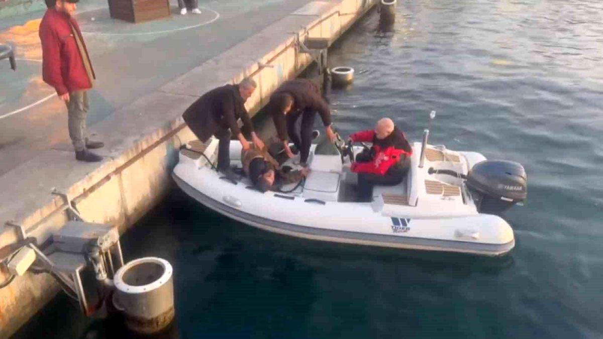 Kadıköy\'de Denize Düşen Adamın İlginç Diyalogları