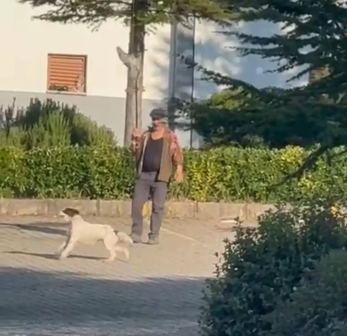 Güvercinle Av Köpeğini Eğiten Eray K.\'ye Cezai İşlem