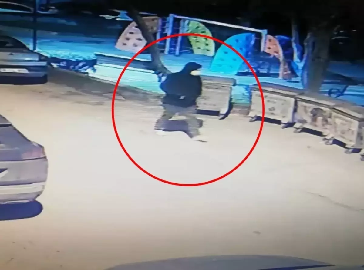 Bursa\'da Park Yeri Tartışması Kanlı Bitti: Bir Kişi Yaralandı