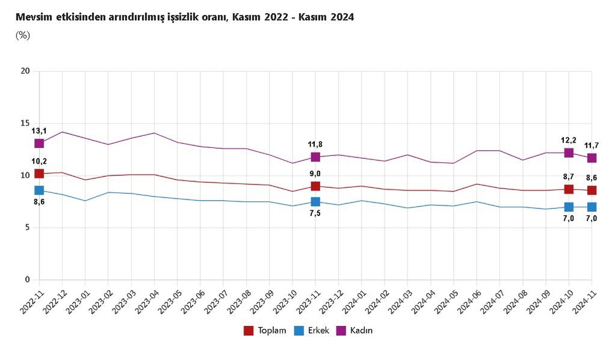 Kasım 2024 İstatistiklerinde İşsizlik Oranı Yüzde 8,6