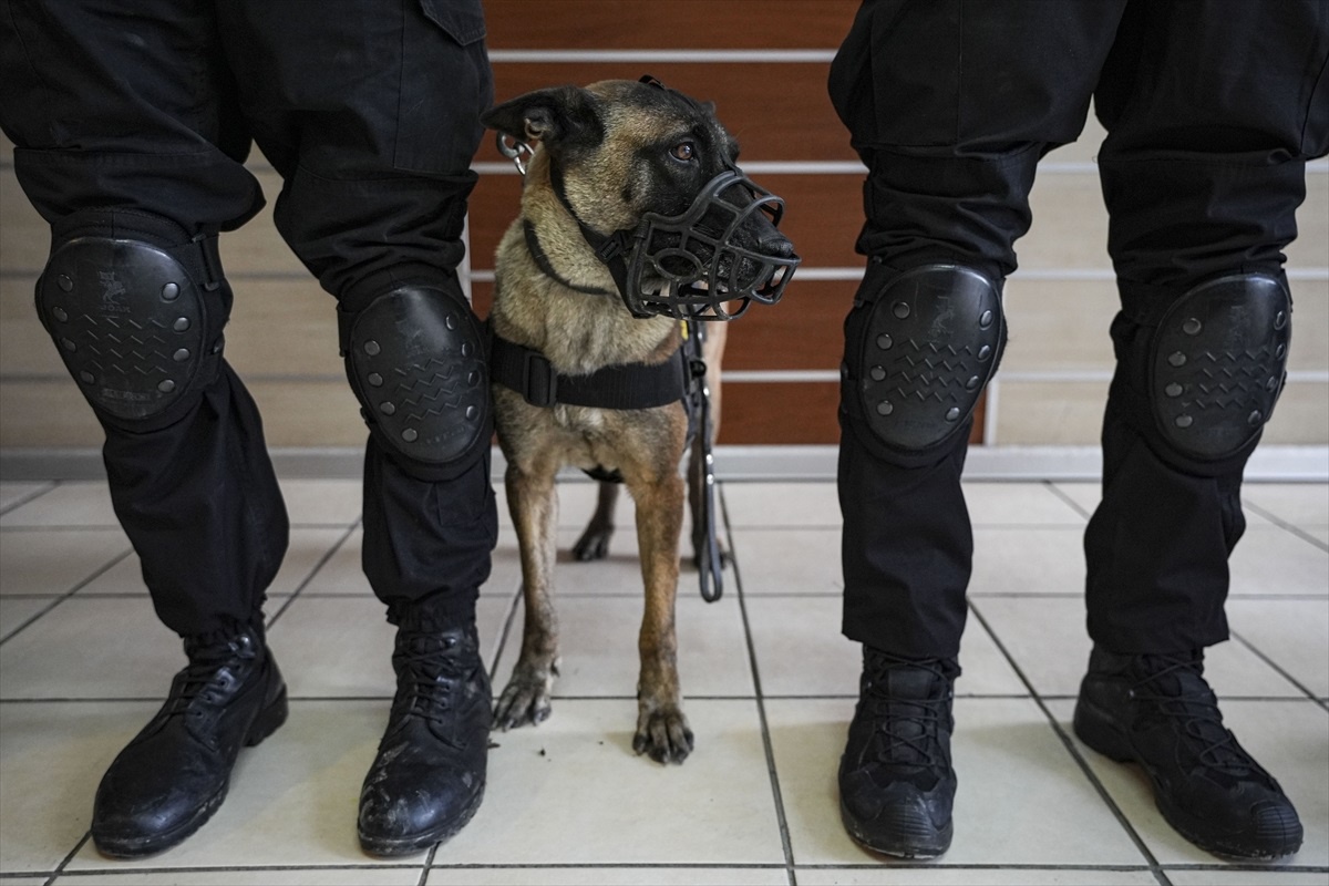 Operasyon Köpekleri Asayişte Hayati Rol Oynuyor