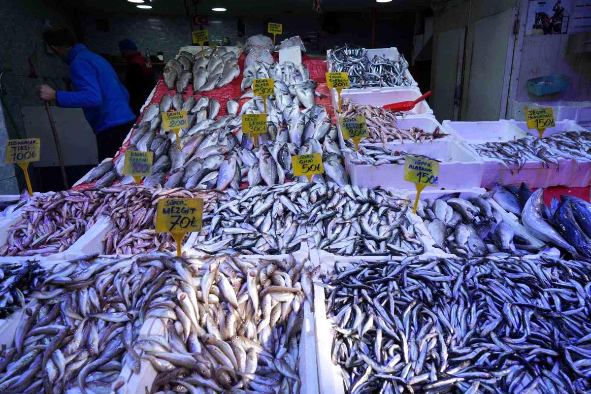 Samsun\'da Mezgit ve İstavrit Uygun Fiyattan Satılıyor
