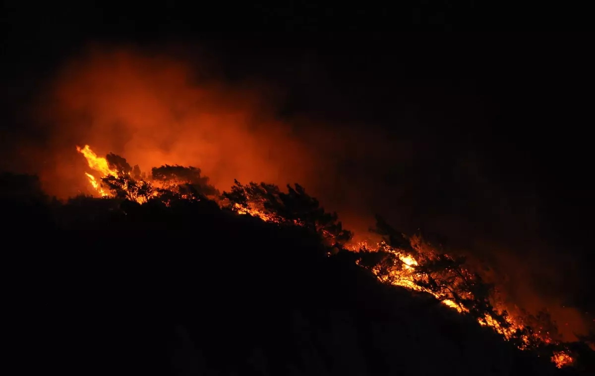 Datça\'da Kasten Orman Yakma Suçundan Aranan Şahıs Tutuklandı