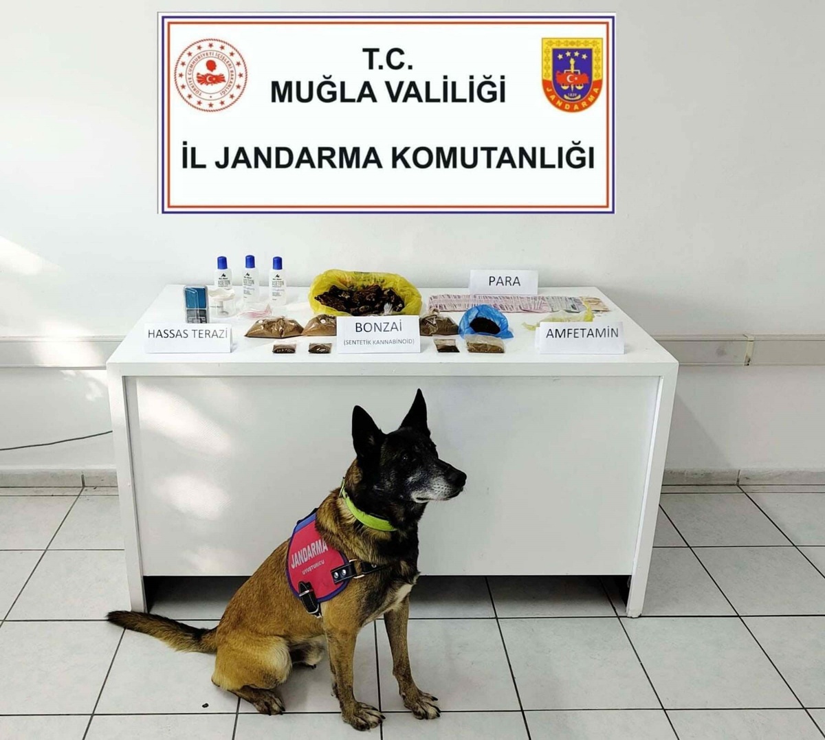 Bodrum\'da Uyuşturucu Operasyonu: 1 Kilogram Bonzai Ele Geçirildi