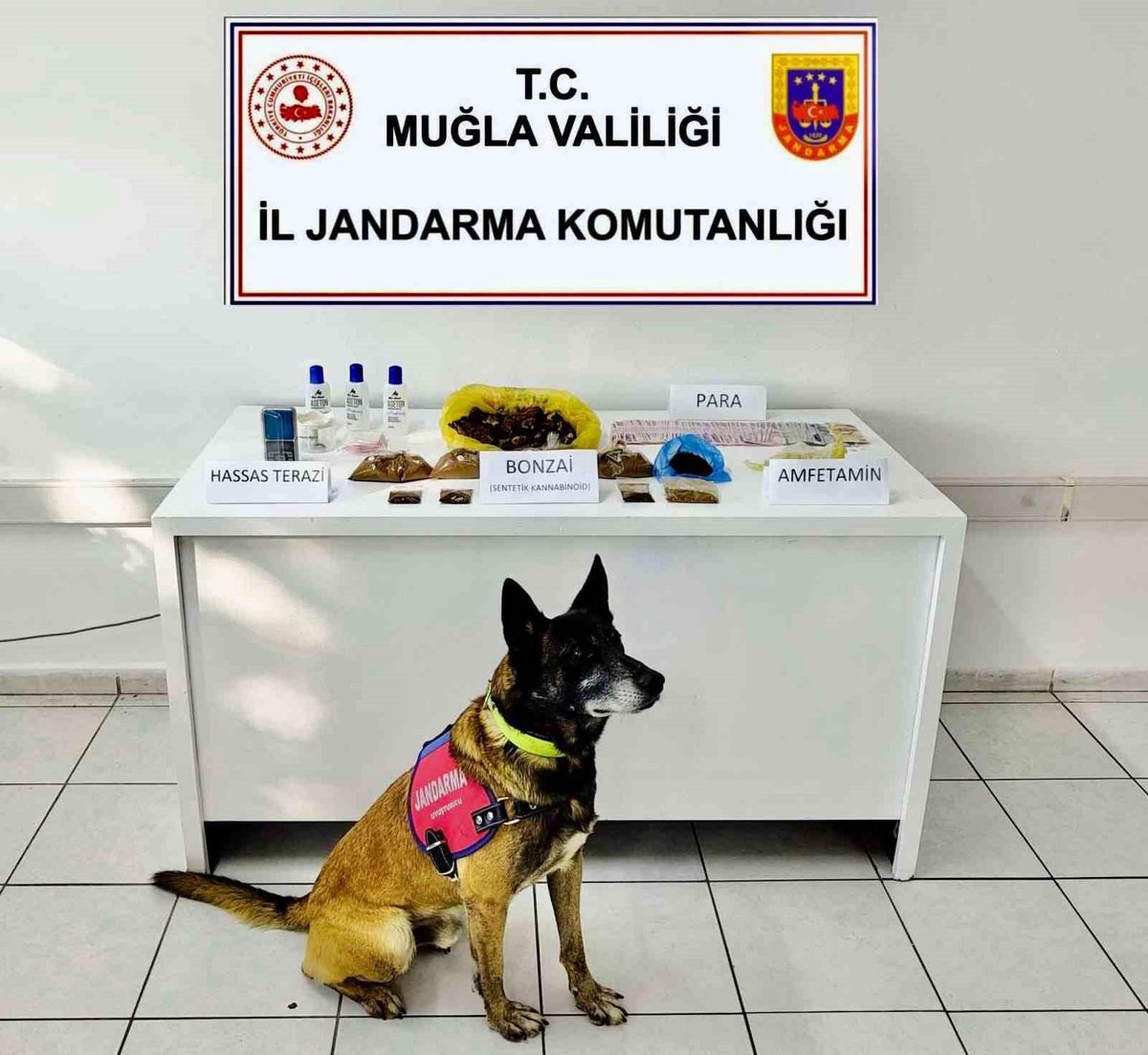 Bodrum\'da Uyuşturucu Operasyonu