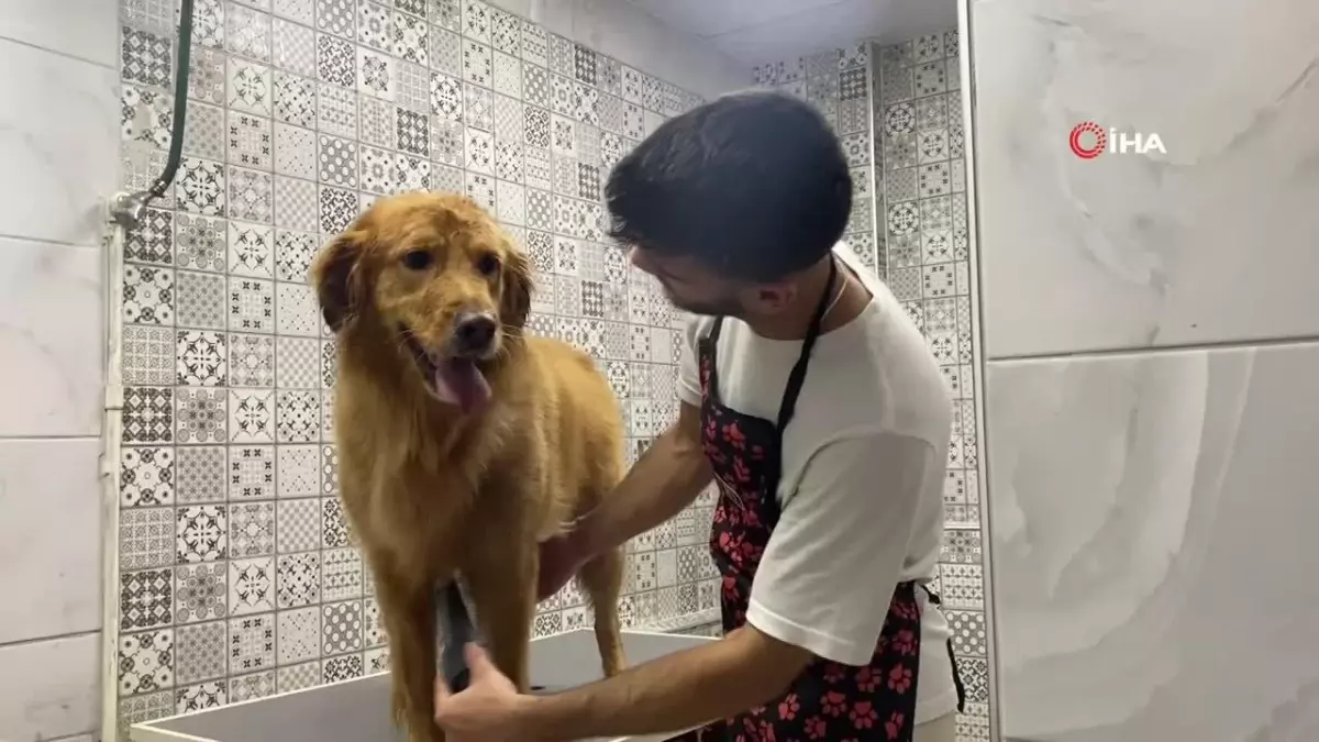 Evcil Hayvanlar İçin Özel Bakım