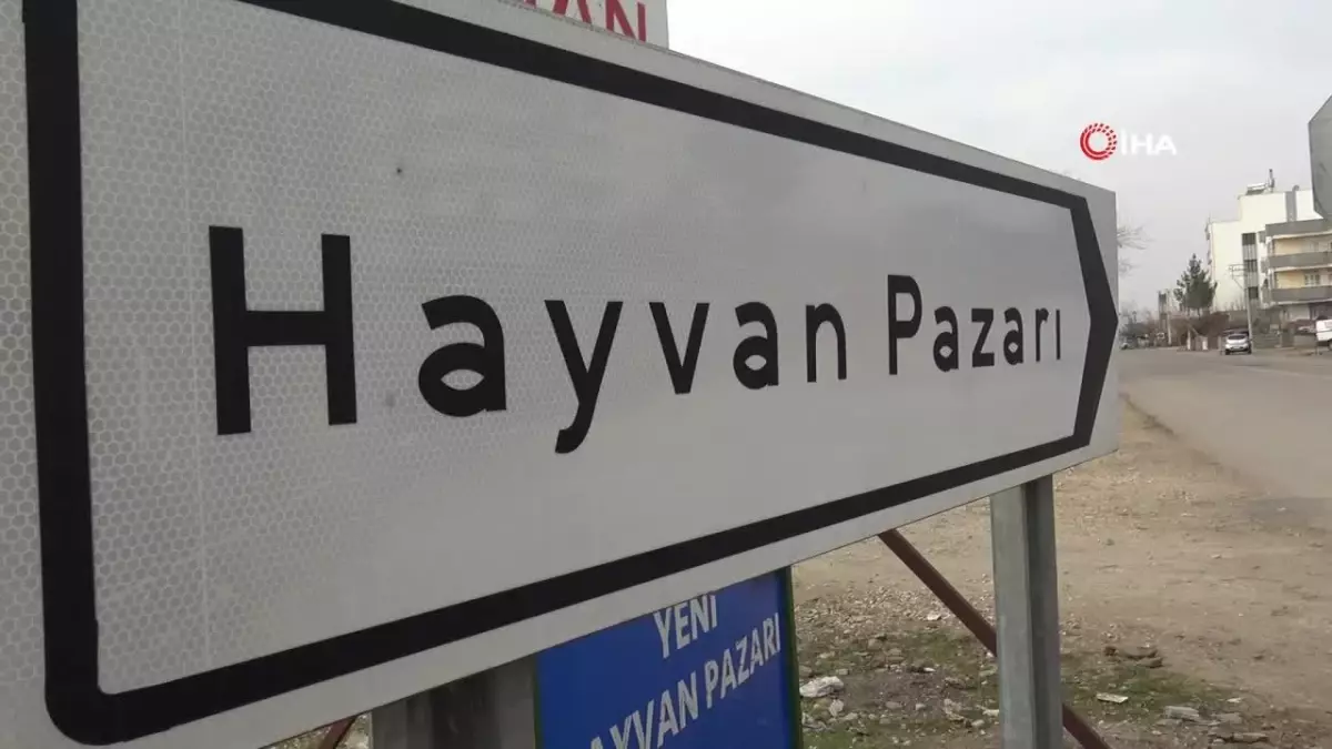 Siverek\'te Hayvan Pazarı 15 Gün Kapatıldı